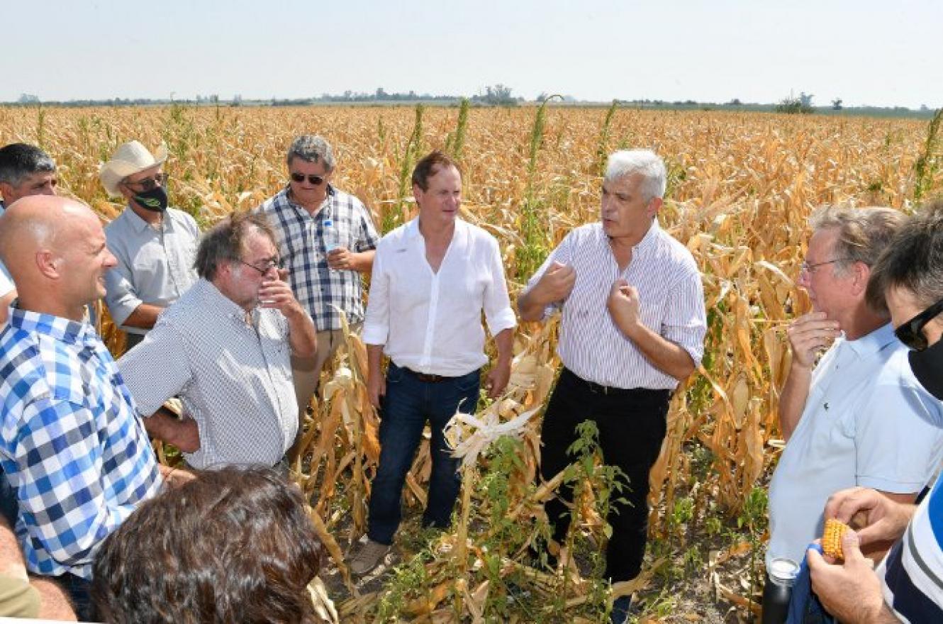 La provincia convocó a las entidades agropecuarias para evaluar medidas ante la sequía