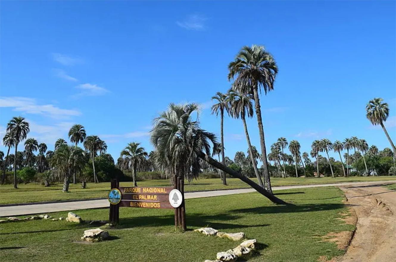 Los trabajadores del Parque Nacional El Palmar rechazan el uso de agrotóxicos en esa área natural protegida que se pretende utilizar para el control de especies leñosas exóticas.