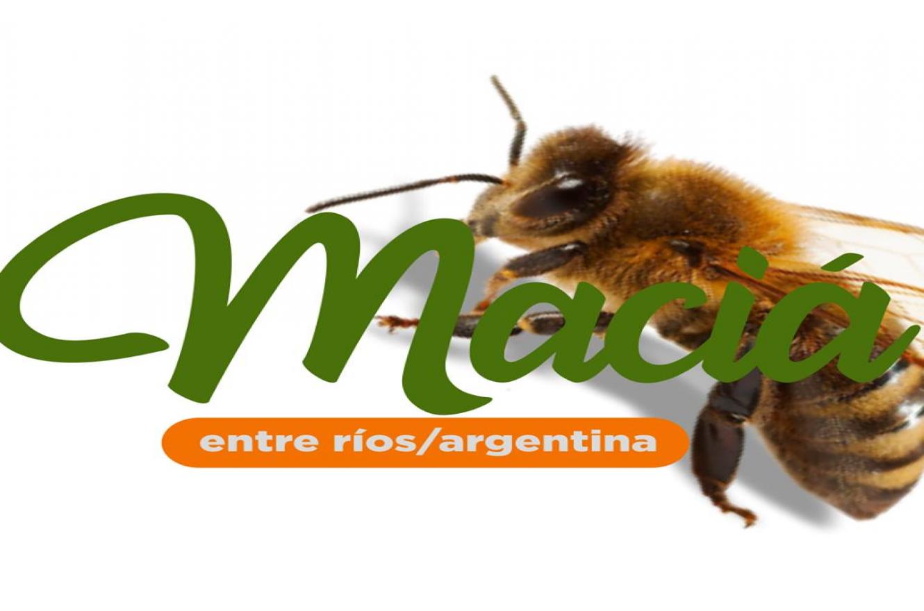 Fiesta Nacional de la Apicultura y Expo Apícola del Mercosur