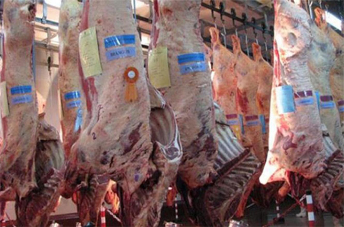 Carne