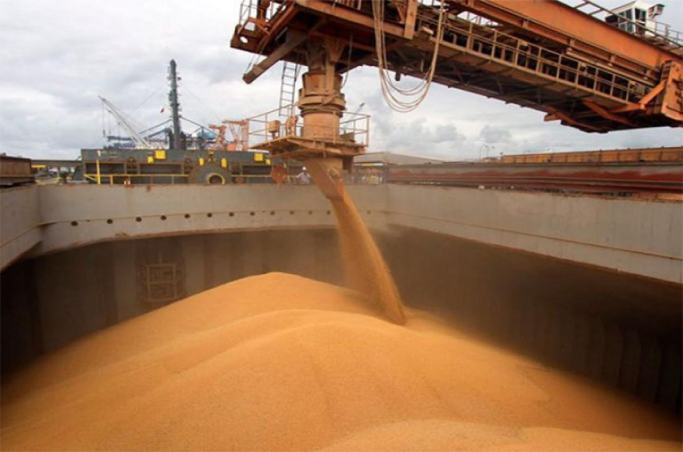Las empresas del sector agroexportador liquidaron el mes pasado US$ 2.500,4 millones.