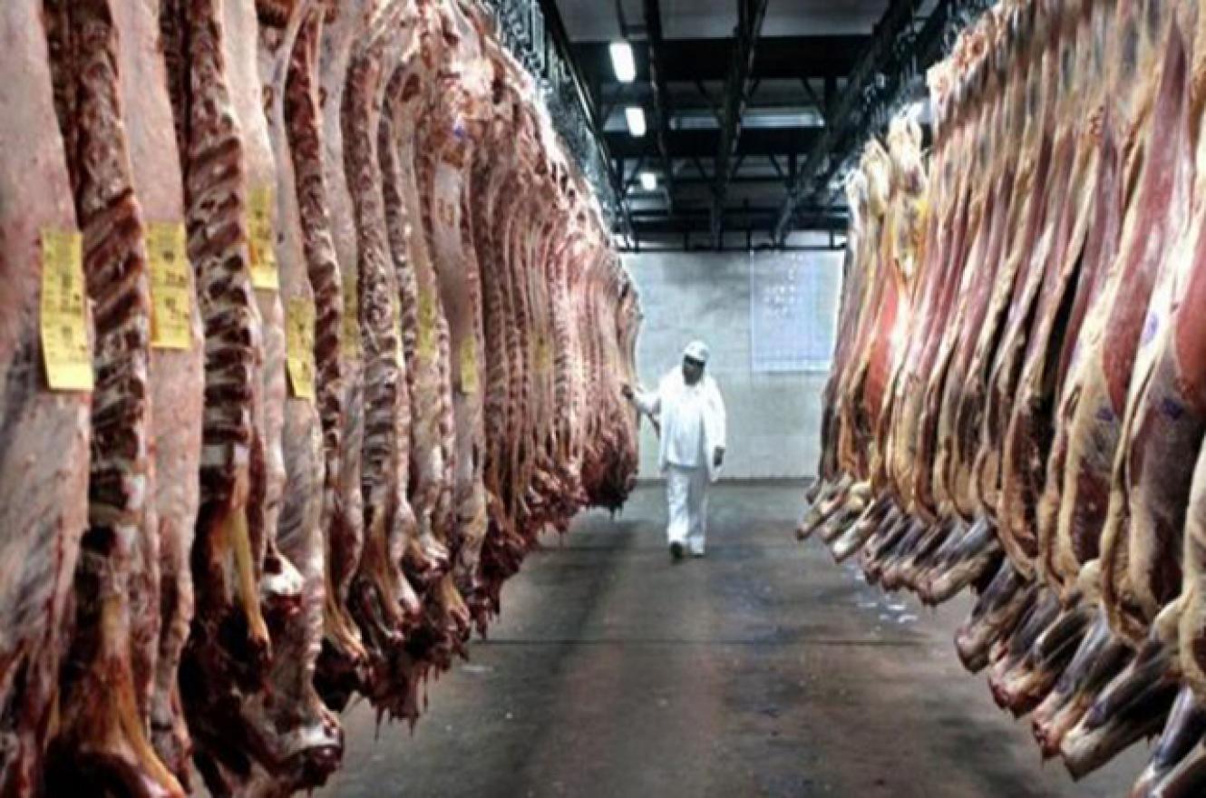 Mientras se desplomó el consumo interno, crecieron las exportaciones de carne