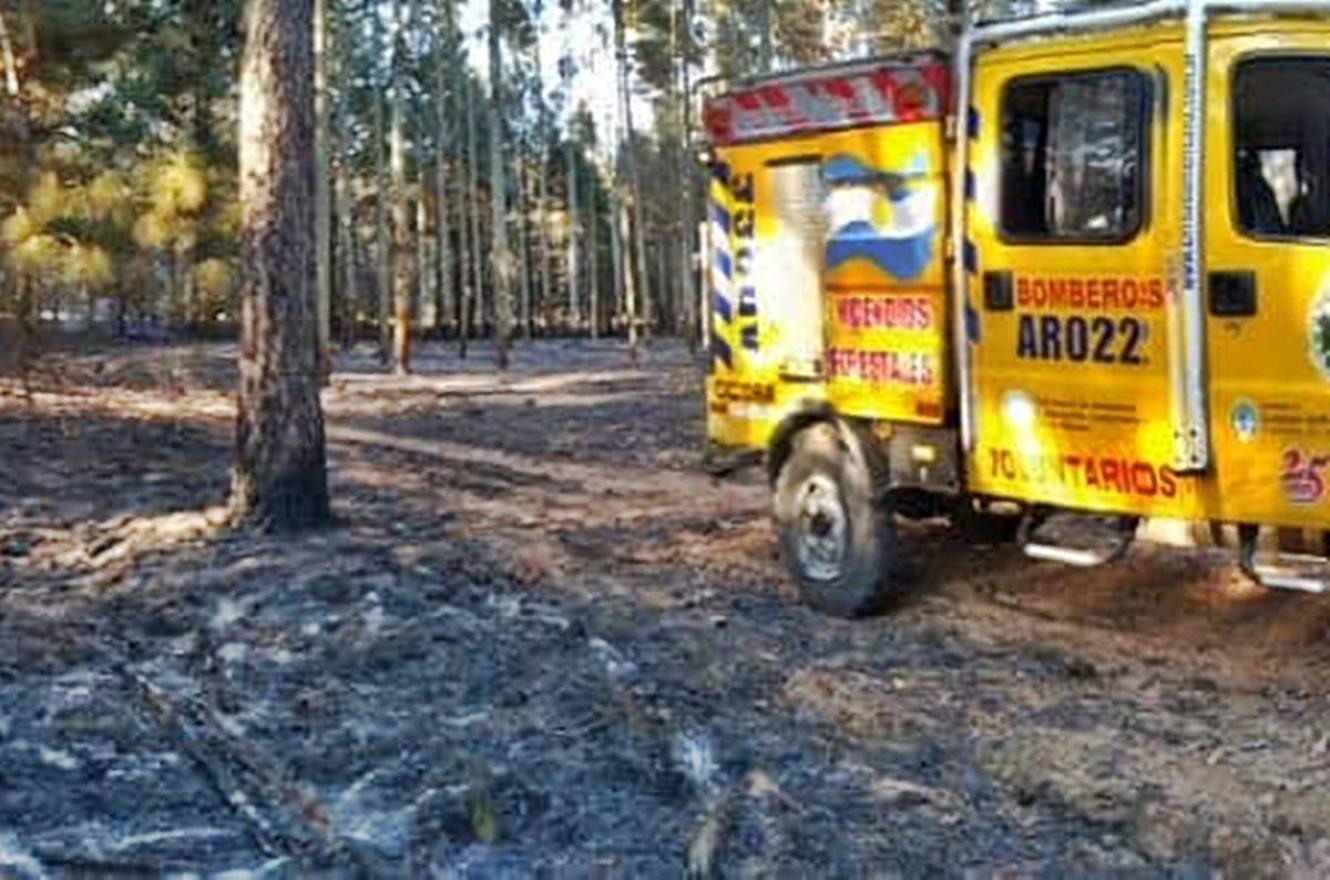 Hubo un foco ígneo en una plantación de árboles en el departamento Concordia