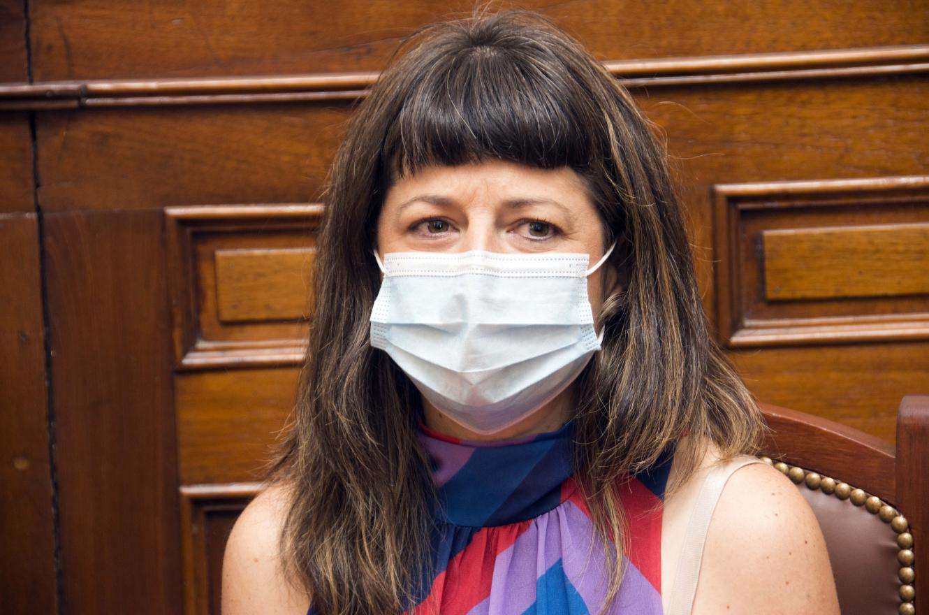Gaillard propuso modificar la ley de drogas y despenalizar el consumo personal