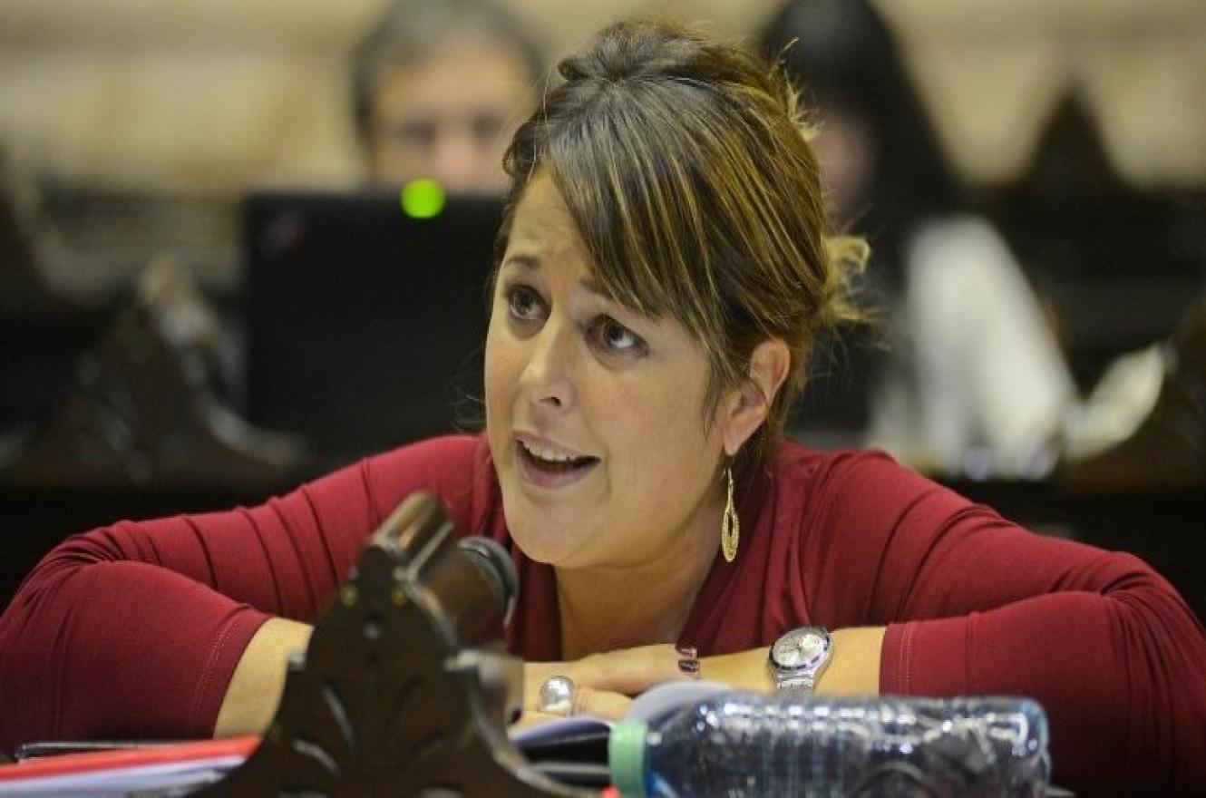 Fuerte respuesta de Gaillard a Lena tras plantear la intervención del Copnaf