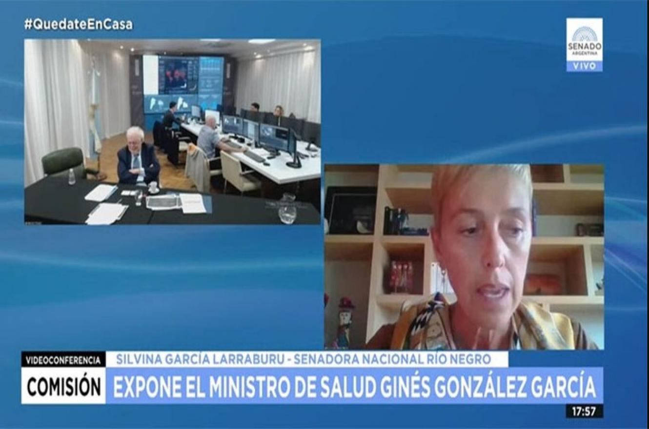 Ginés González García en videoconferencia con senadores