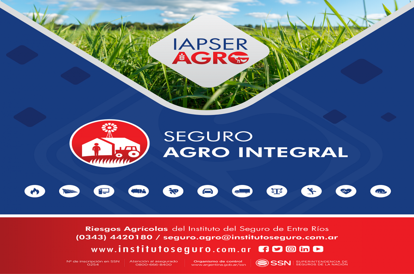 Seguro