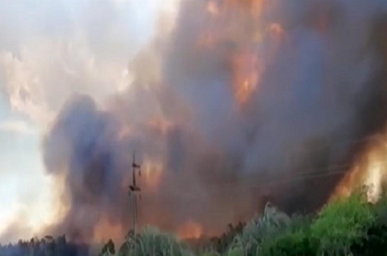 Bomberos de distintas localidades trabajan para combatir un importante incendio forestal