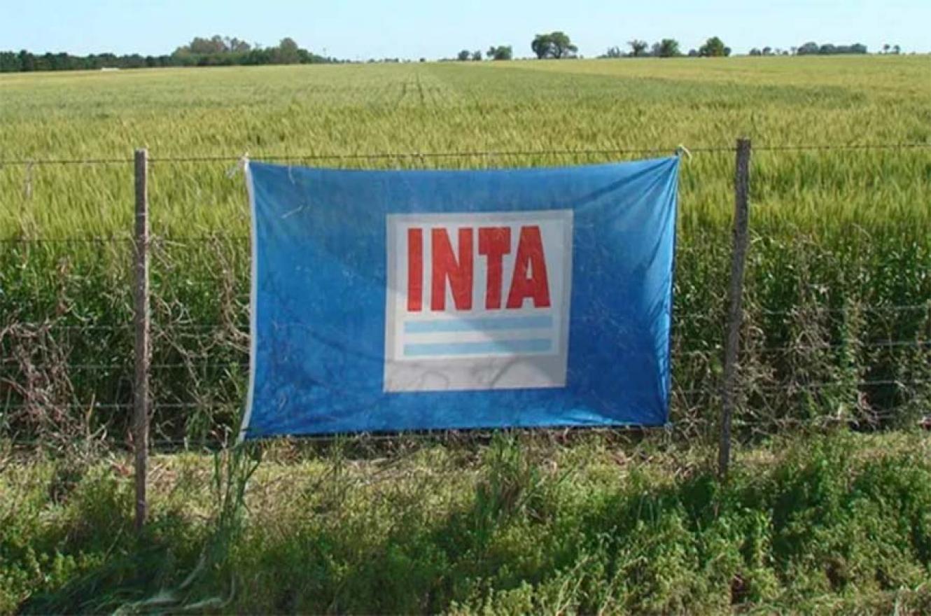 “Agroecología”, “cambio climático”, “biodiversidad”: las palabras prohibidas en el INTA.