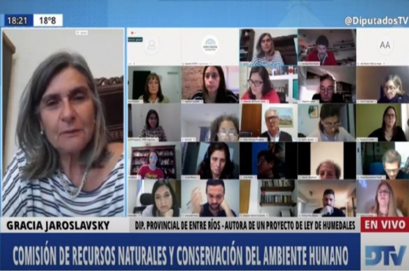 En el Congreso, Jaroslavsky instó a “federalizar” el debate sobre la ley de Humedales