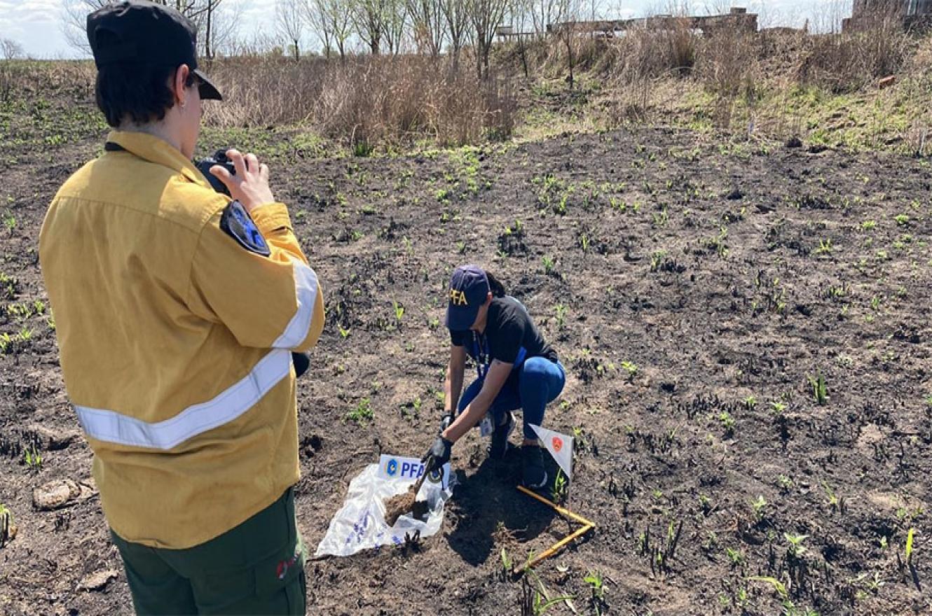 La Policía científica toma muestras para analizar posibles rastros de combustibles en la zona de incendios en el Delta.