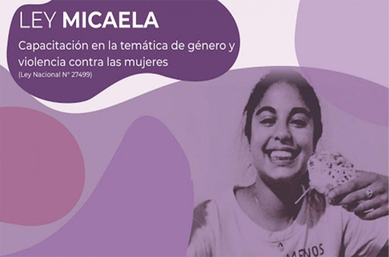 El Observatorio de Seguimiento de Capacitación en Género y Violencia Contra las Mujeres, avanza en la implementación de la Ley Micaela en los tres Poderes del Estado.