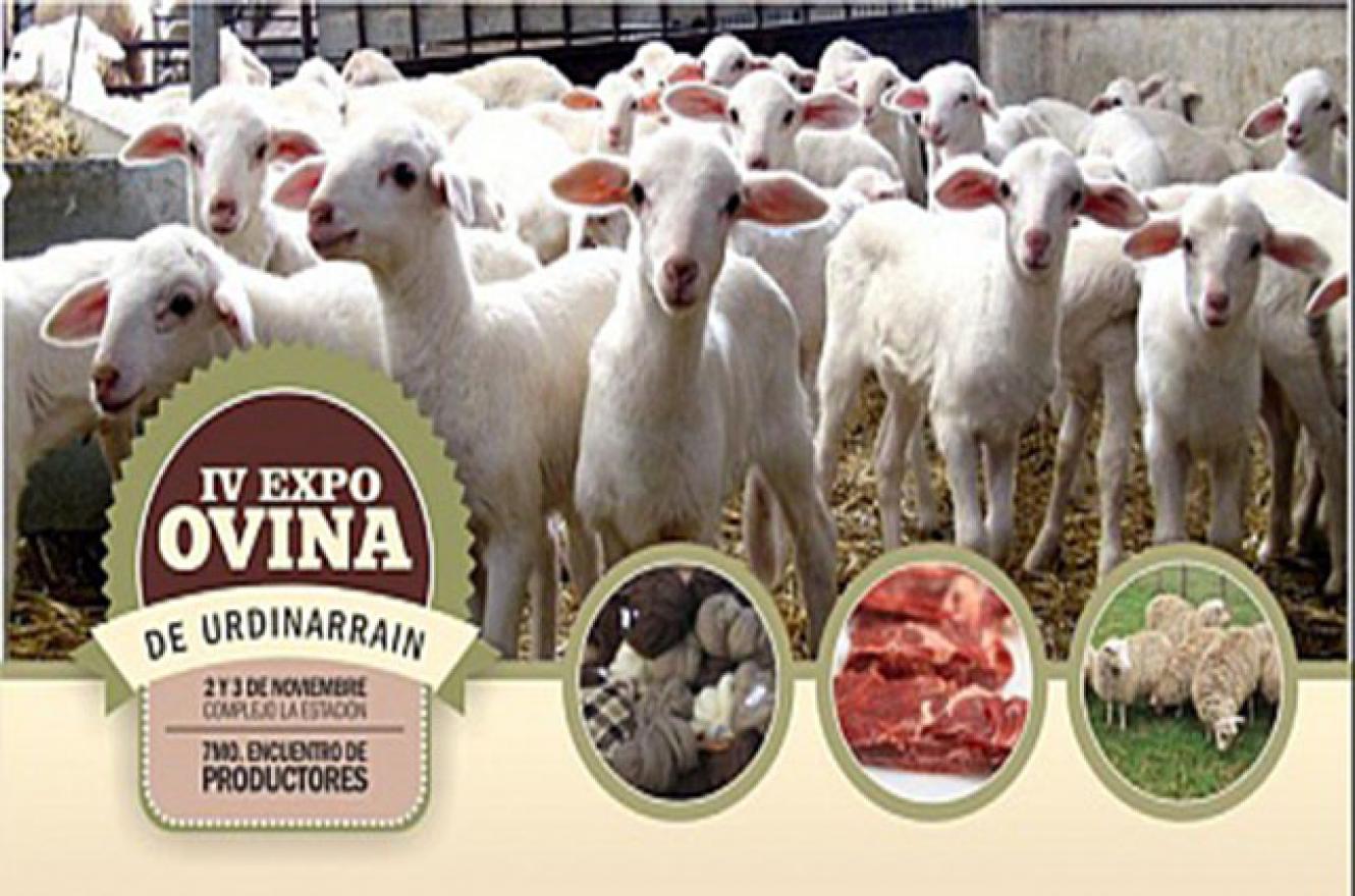 muestra ovina