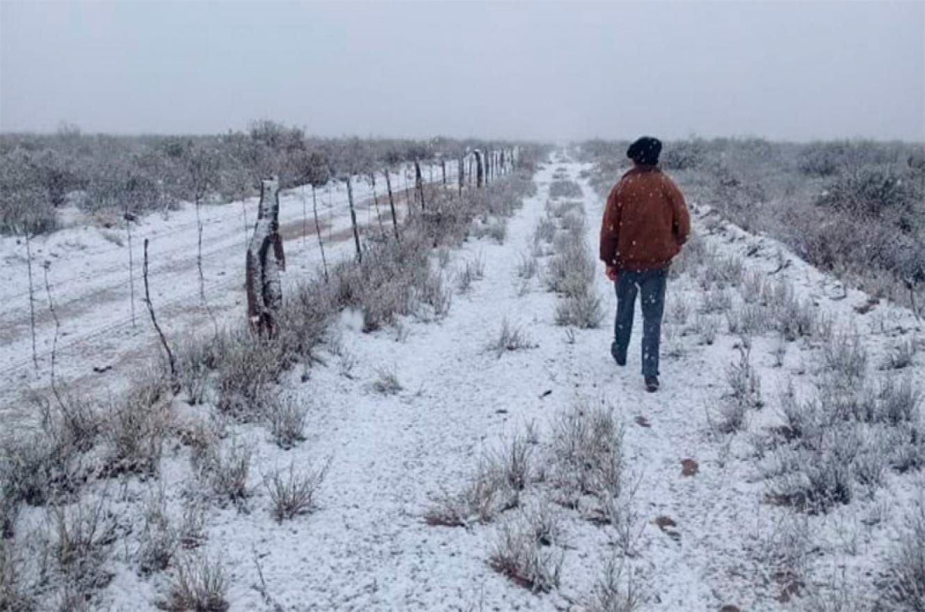 Brasil advierte por un "evento histórico de frío y nieve ...