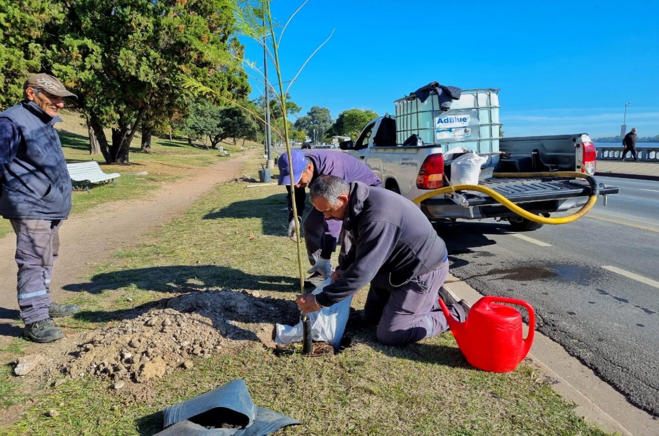 Plantan árboles en el Parque Urquiza de Paraná