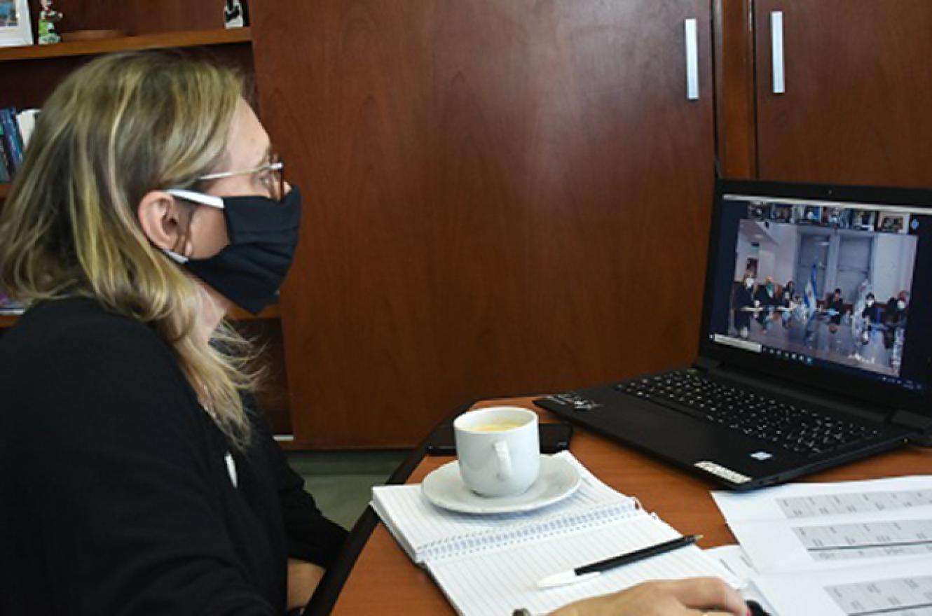 Marisa Paira reunión virtual
