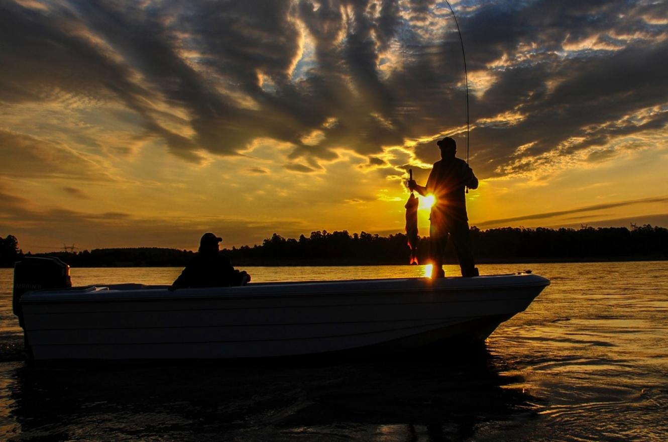 Articulos De Pesca Parana Entre Rios