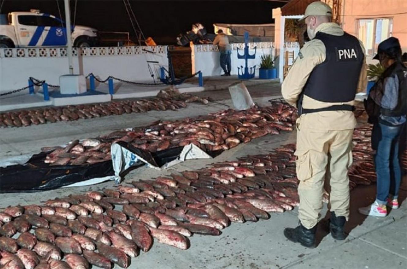 En un procedimiento llevado adelante el jueves en horas nocturnas, personal de Prefectura con asiento en Ibicuy, decomisó 3.000 kilogramos de pescado.
