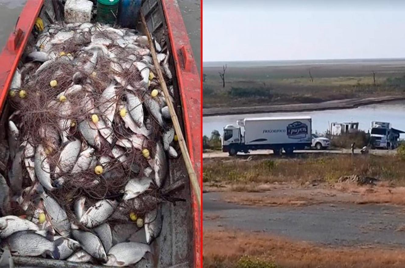 Pesca