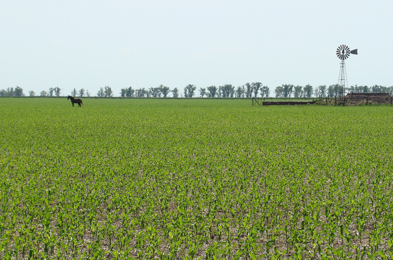 Proyecto "Buenas Prácticas Agrícolas"