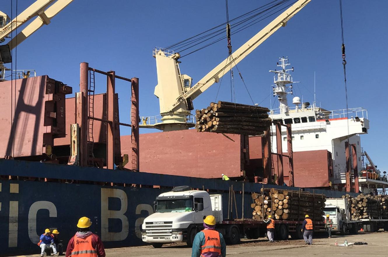 Los cuatro puertos públicos de Entre Ríos están trabajando de forma simultánea bajo los protocolos de higiene y seguridad dispuestos según las exigencias nacionales e internacionales.
