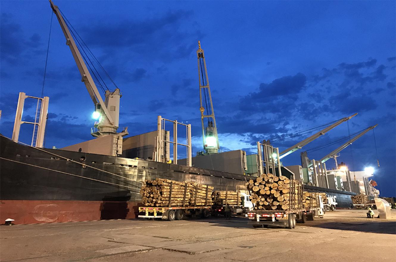 Un nuevo operador logístico y de exportaciones se incorporó al puerto de Concepción del Uruguay, por lo que se sumarán nuevos embarques desde esta terminal.