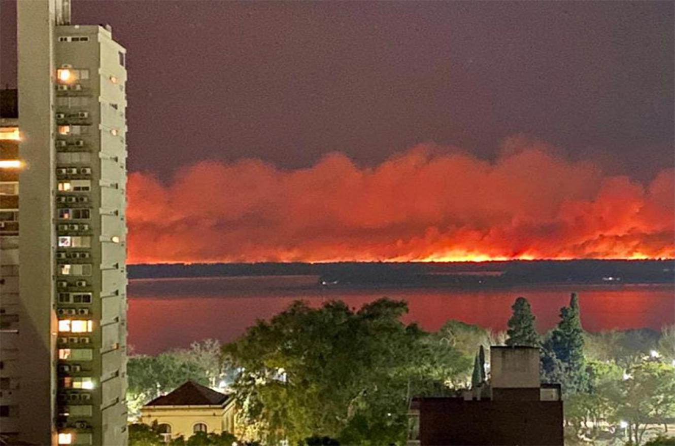 “Los incendios intencionales constituyen un importante agente de perturbación de los ecosistemas que afecta millones de hectáreas cada año”, se indicó en el informe del Conicet de Santa Fe.