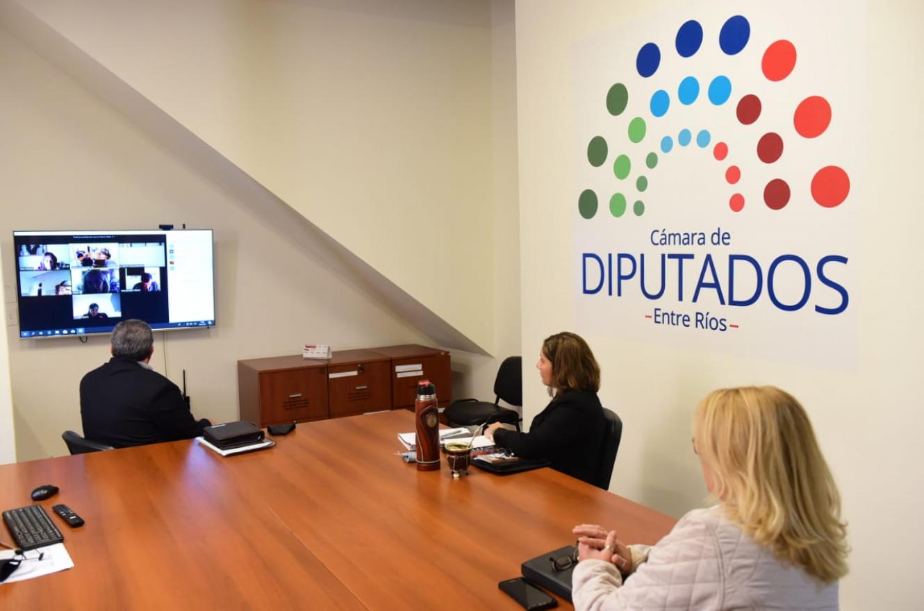 reunión virtual de comisiones Diputados 