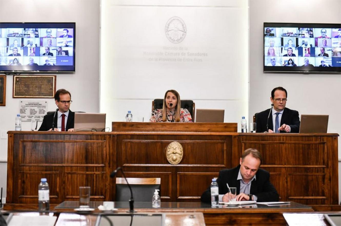 La Cámara de Senadores de la provincia realizó 21 sesiones durante el año, trató 402 proyectos y sancionó 88 leyes. 
