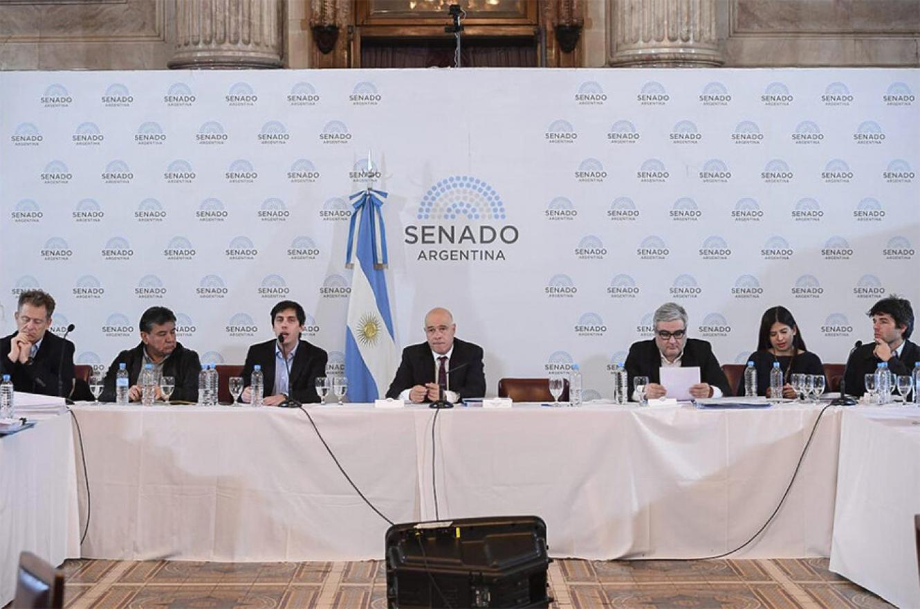 El debate en las comisiones de Presupuesto, Legislación General y Asuntos Constitucionales.