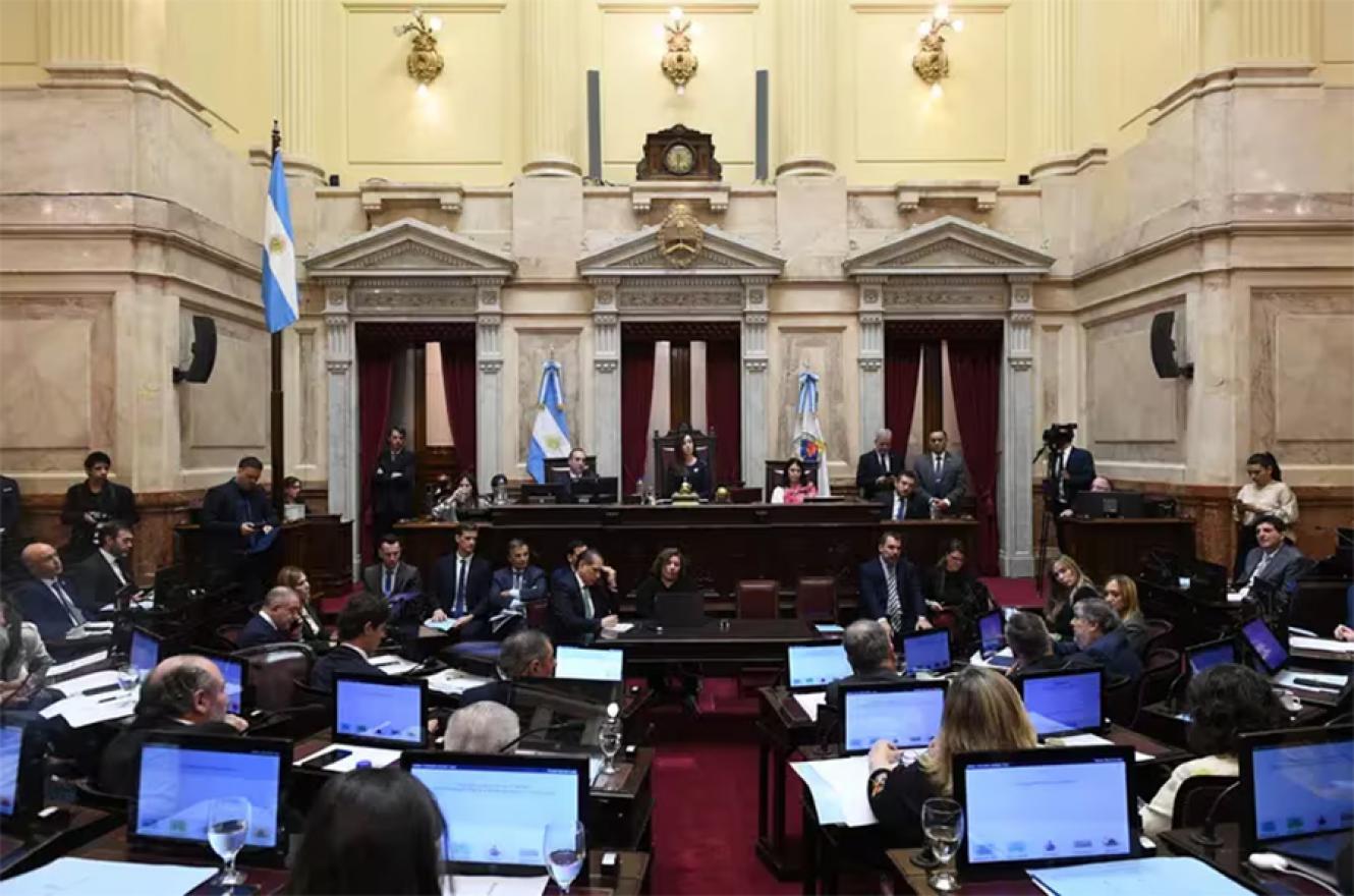 Ahora el Senado discute los artículos de manera particular.