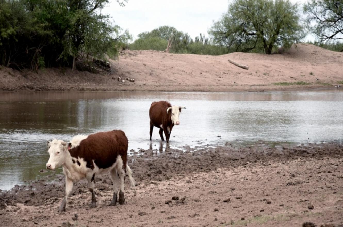 Entre Ríos sufre la peor sequía de los últimos 60 años