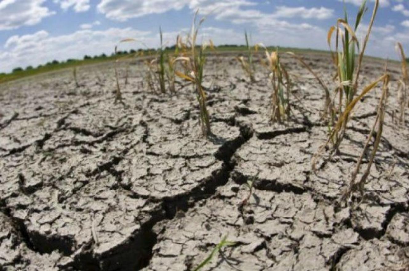 Nación aprobó homologar la declaración de emergencia por sequía en Santa Fe