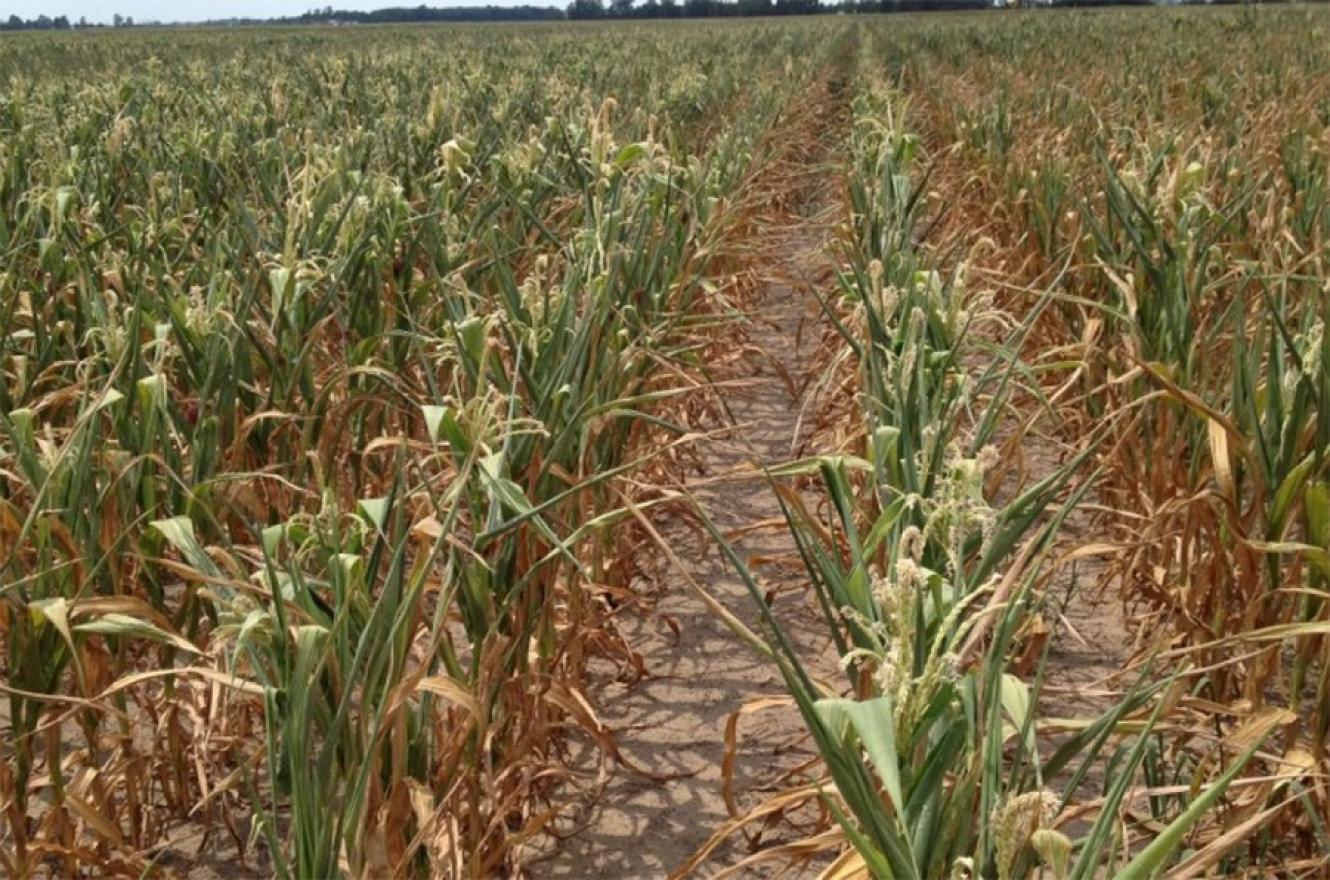 El aumento constante de las temperaturas se debe, principalmente, a las concentraciones de gases de efecto invernadero.