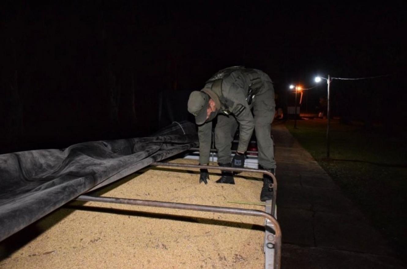Incautaron en Corrientes 29 toneladas de soja que eran transportadas desde Entre Ríos