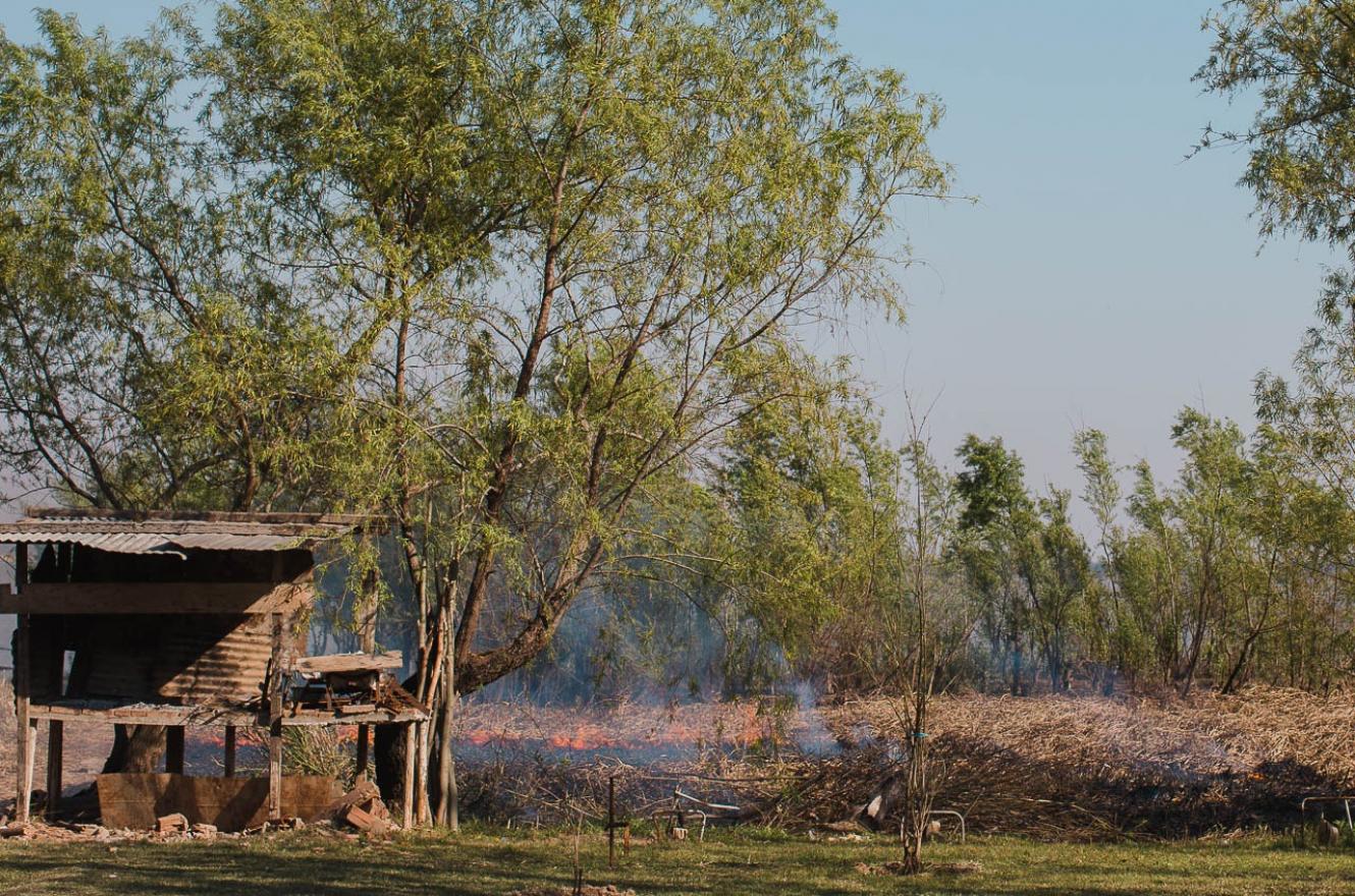 Foto municipalidad Paraná