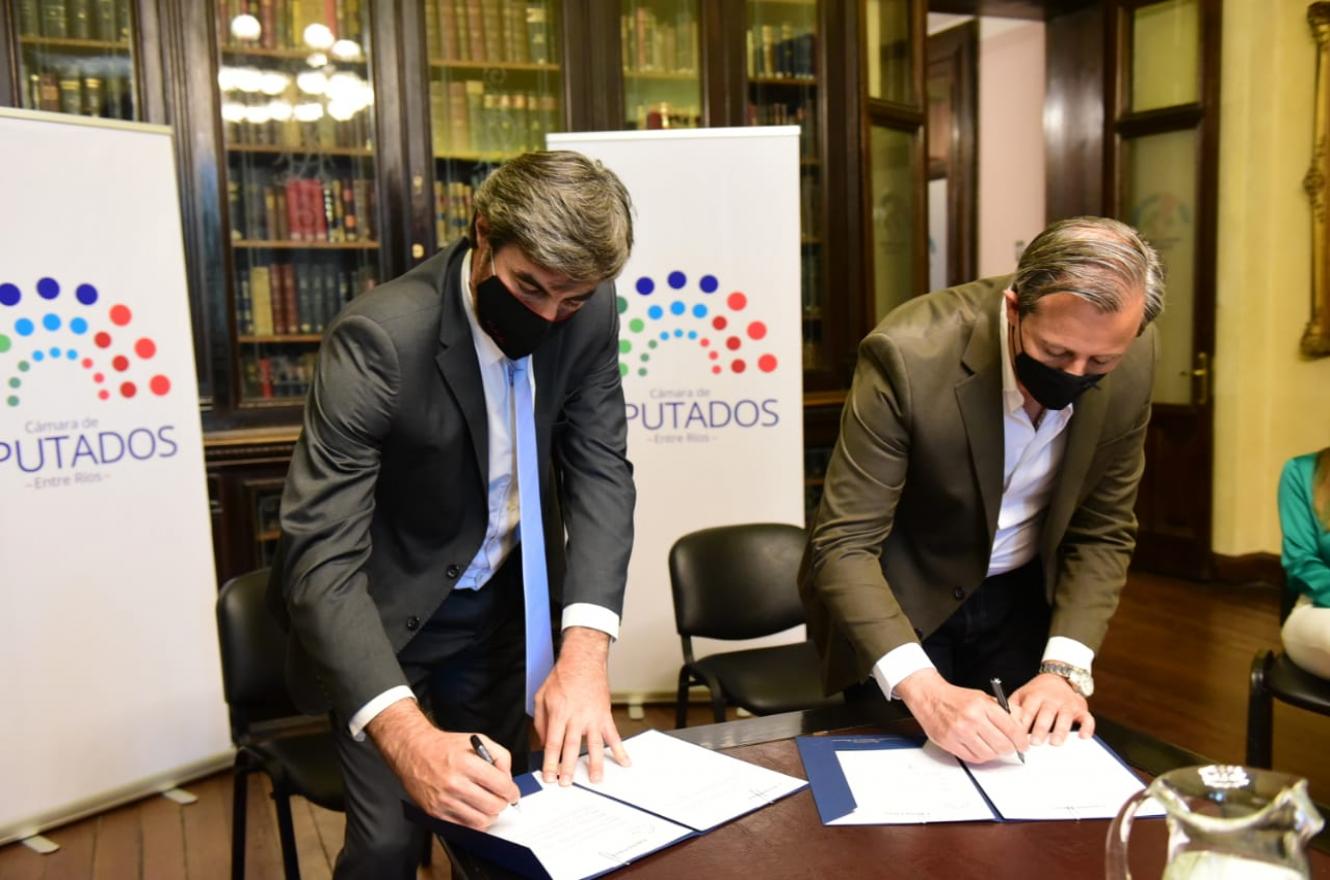 Diputados