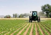 Censo agropecuario