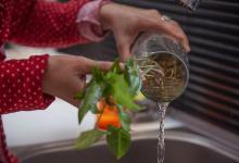 Utilizar arena húmeda en floreros y plantas acuáticas