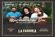 Ciclo de artistas en vivo 
