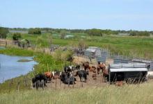 El gobierno de Entre Ríos es titular de 76 establecimientos agropecuarios en las islas