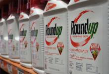 Roundup es la marca comercial del glifosato. La compilación da cuenta de los impactos que el glifosato provoca en la salud y el ambiente. La semana pasada Bayer ofertó 11 mil millones de indemnización por juicios. 
