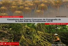  "Lista Roja de los Ecosistemas de la UICN"