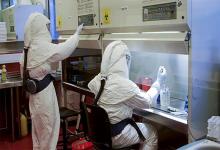 El Ministerio de Salud de la Nación informó en su reporte vespertino N° 142, que se registró un total de casos confirmados de 12.076, de los cuales 452 fallecieron.
