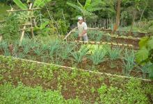 agroecología 