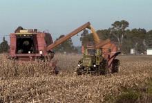 Habrá préstamos subsidiados para pequeños productores que no entraron al dólar soja.