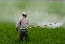 Fumigación terrestre