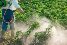 El trabajo lo realizó la UNR sobre personas jóvenes de pueblos fumigados.