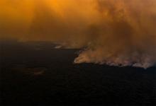 Los incendios arrasaron el Norte del Pantanal, en el Estado de Mato Grosso.