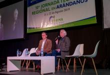 Jornada de Apama